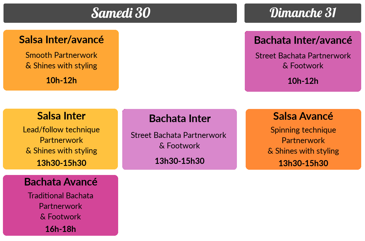 Planning Festival Salsa Bachata