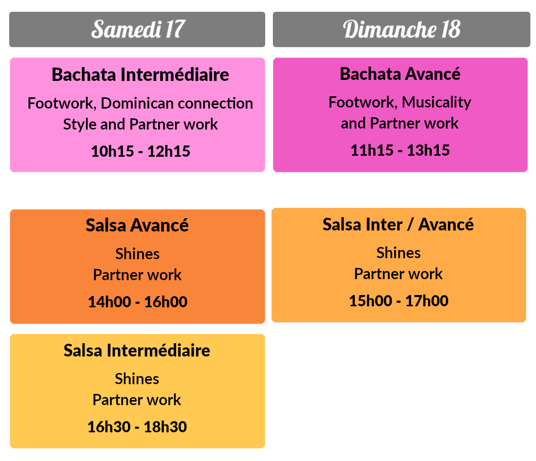 Planning Festival Salsa Bachata